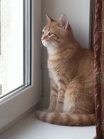 Виктория Митяева