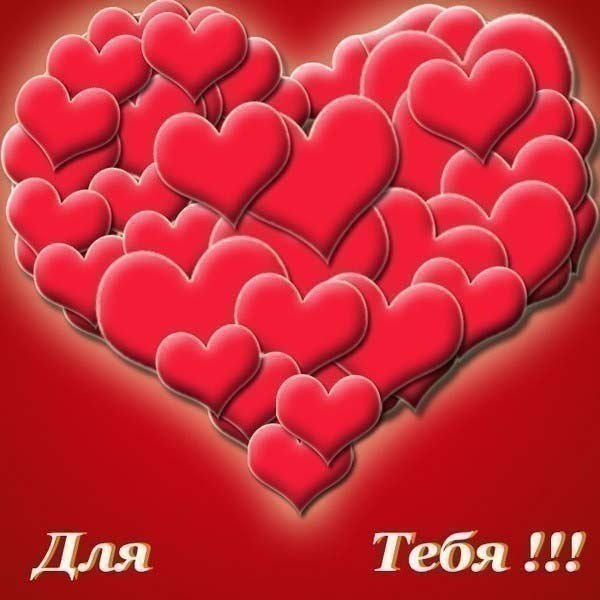 Ксения Пилигримова