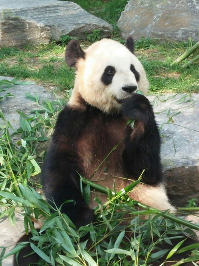 Катя Алексеева