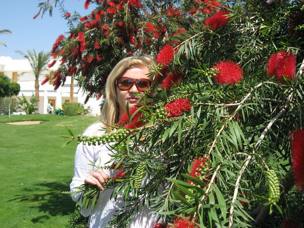 Елена Зубова