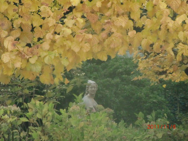 Елена Прекрасная