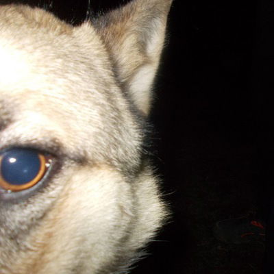 Данил Данькевич