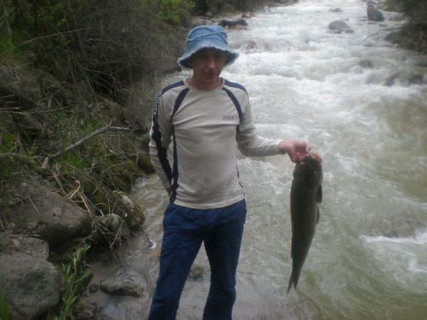 Александр Швецов