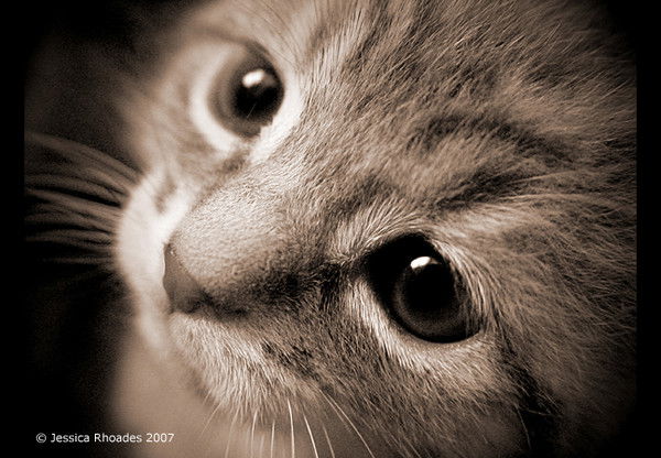 Анжелика Кутлуметова