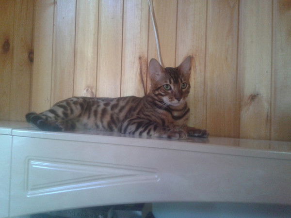 Оля Лазарева