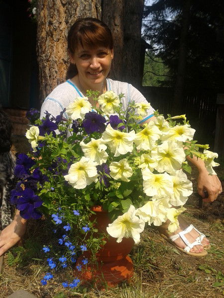 Елена Захаренко