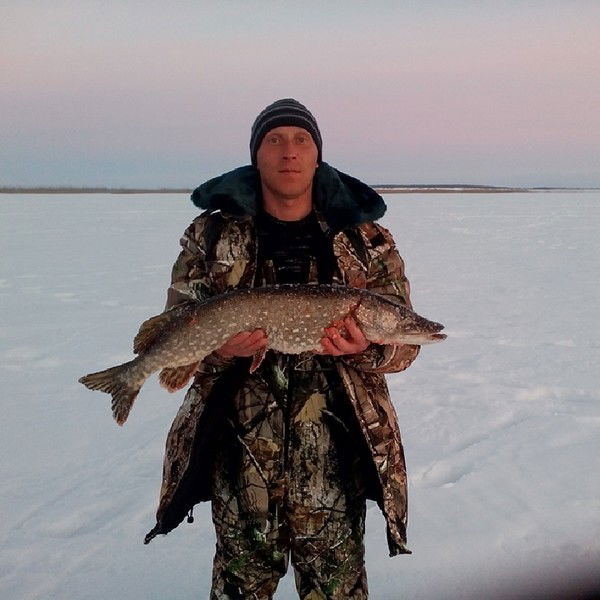 Олег Корепанов