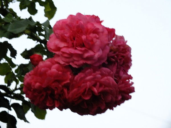 Андрей Мокеров