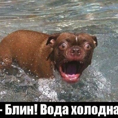 Егор Дрягин