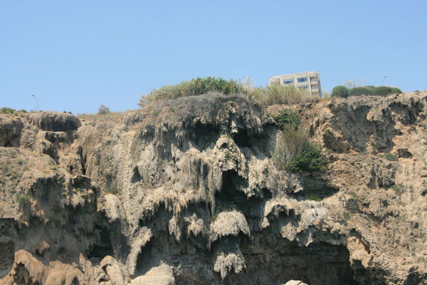 Александр Фоминов