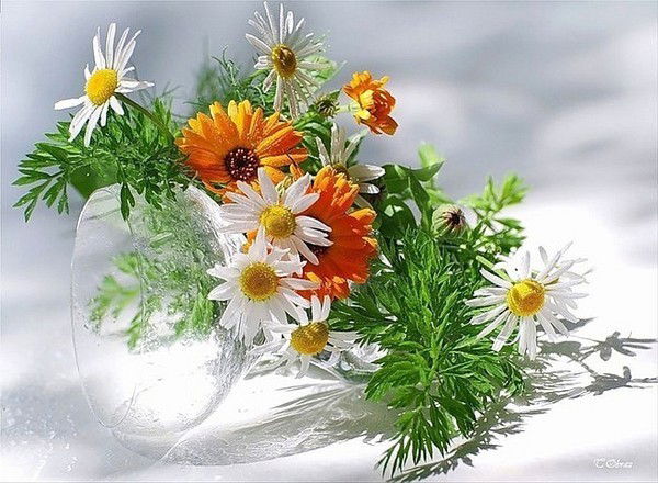 Алымжан Дуйсенбаева