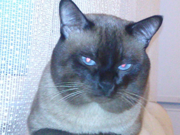 Хозинов Тагир