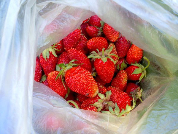 Виктория Курдюкова