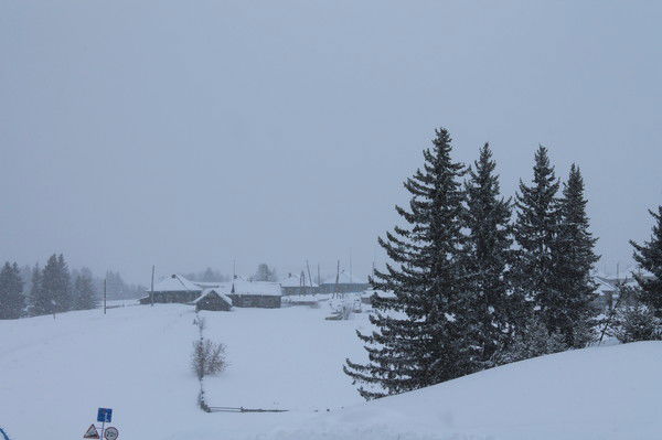 Татьяна Садыкова