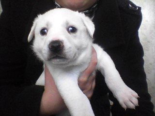 Света Нестерова