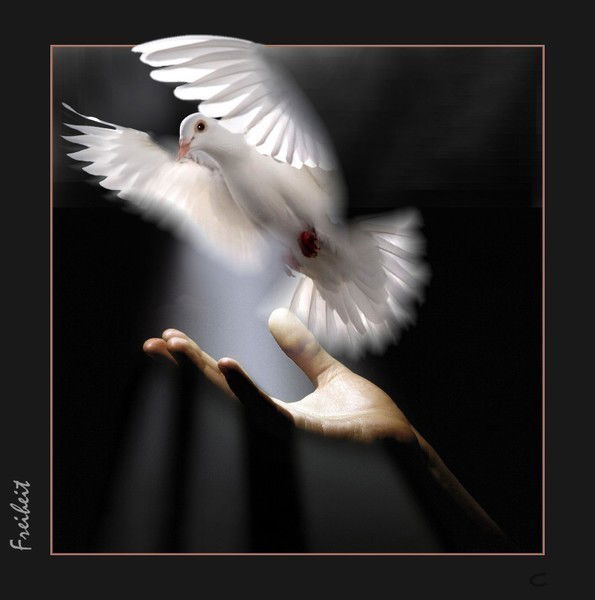 Наталья Корвачева