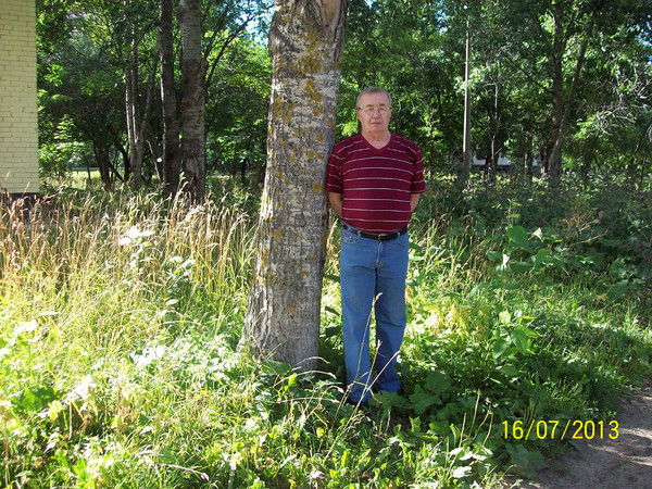 Игорь Курской