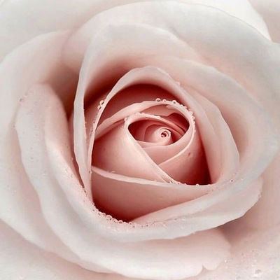 Наталья Баженова