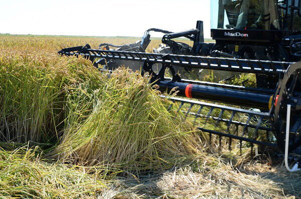 Еркин Бекжанов