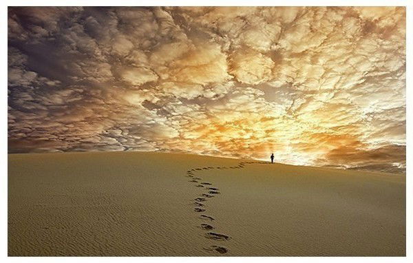 Тимофей Ясько