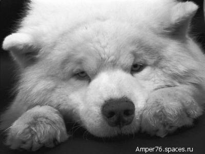 Канат Карабаев