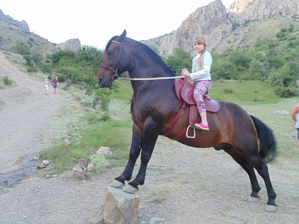 Мария Никитенко