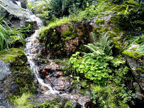 Юрий Коновалов