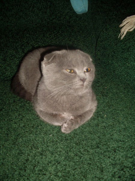 Руслан Жабин