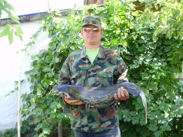 Алексей Сусоев