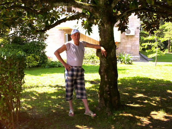 Сергей Николаев