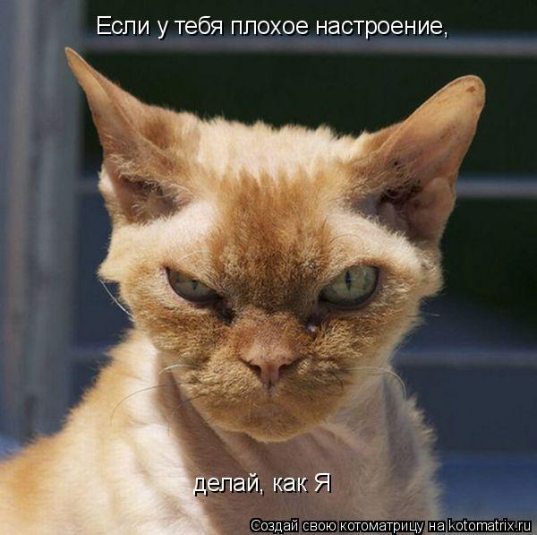 Александр Глушков