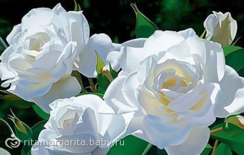 Айнур Куанышкызы