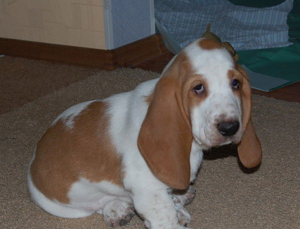 Галина Игнатьева