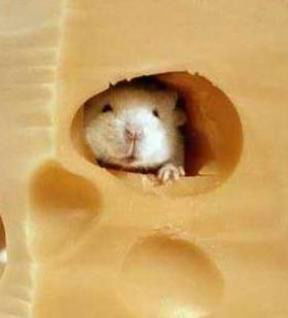 Павлодар Склад