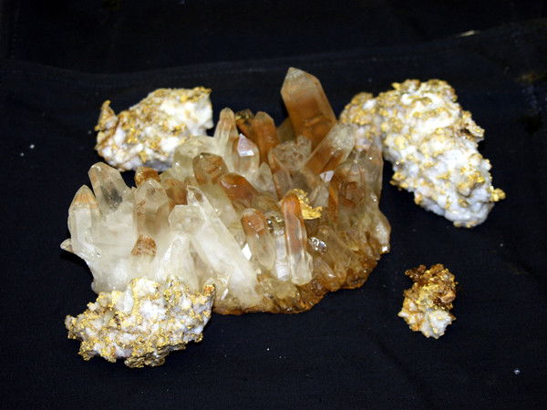 Татьяна Коляда