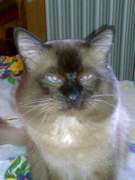 Валерий Шкрабов