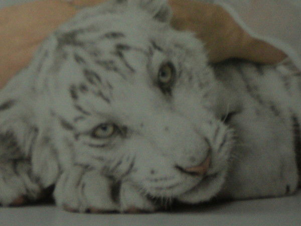 Игорь Демиденко