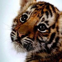 Анастасия Портнова