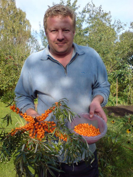 Алексей Сысоев