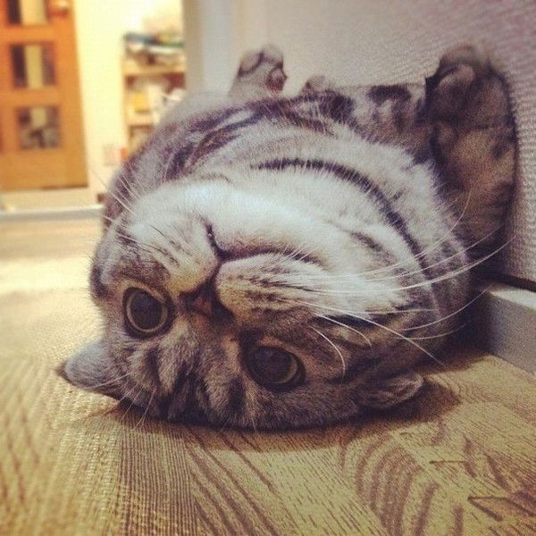 Сергей Рузанов