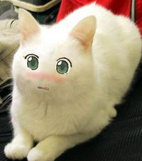 Виктория Сенич