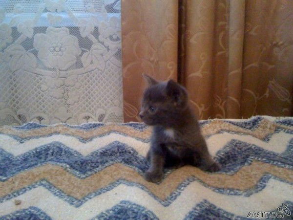 Наталия Морозова