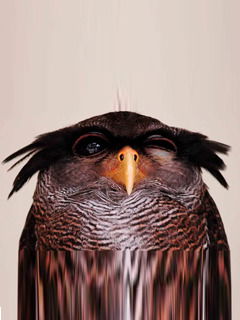 Алексей Половников