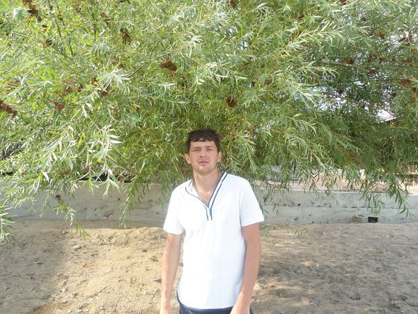 Дмитрий Глотов