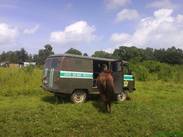 Михаил Литвинчук