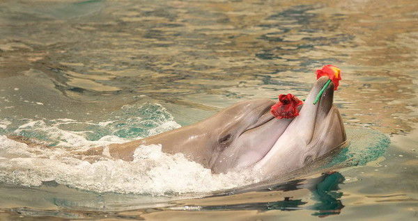 Гулеке Атырау