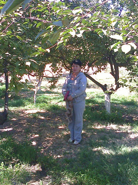 Улзира Решова