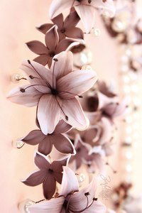 Оксана Пруденко