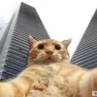 Артем Филон