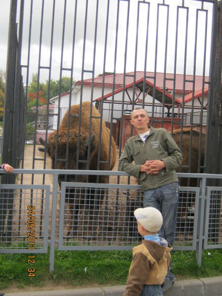 Сергей Янковский